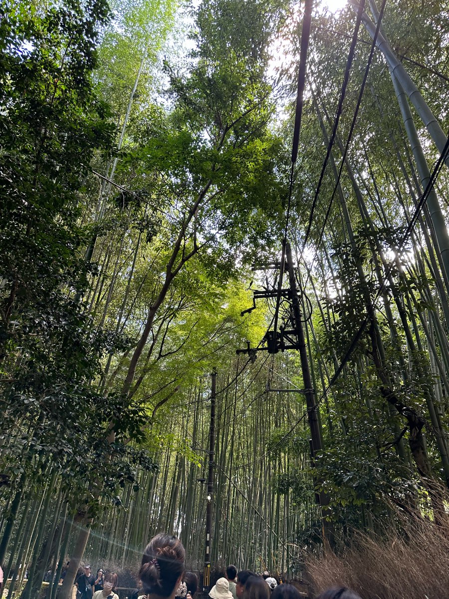 嵐山竹林小徑 | 去趣 chicTrip