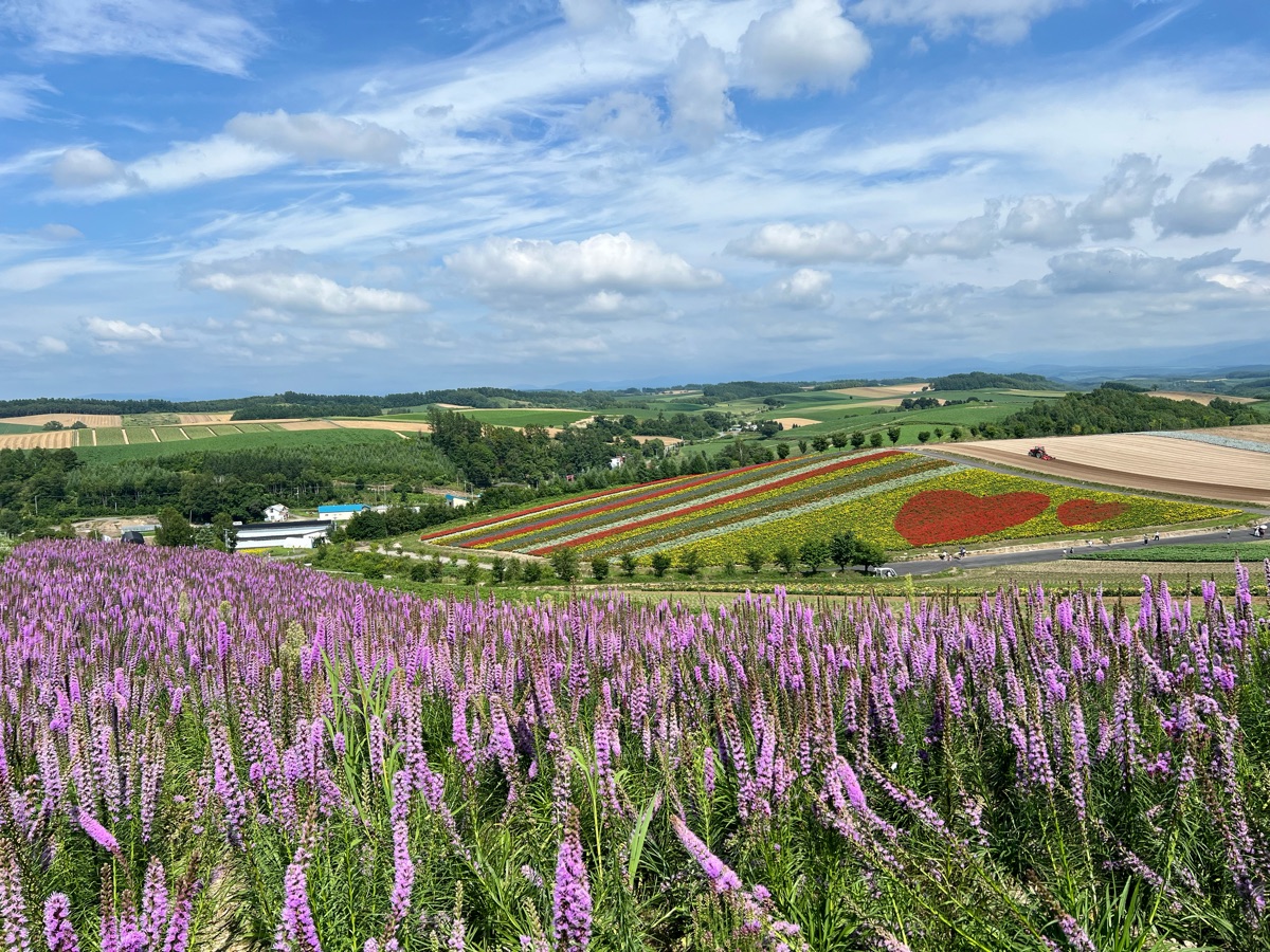 四季彩之丘 | 去趣 chicTrip