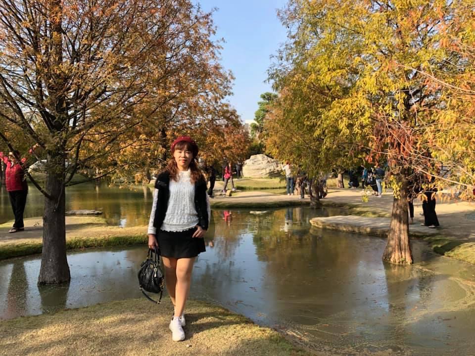 青埔落羽松秘境 | 去趣 chicTrip