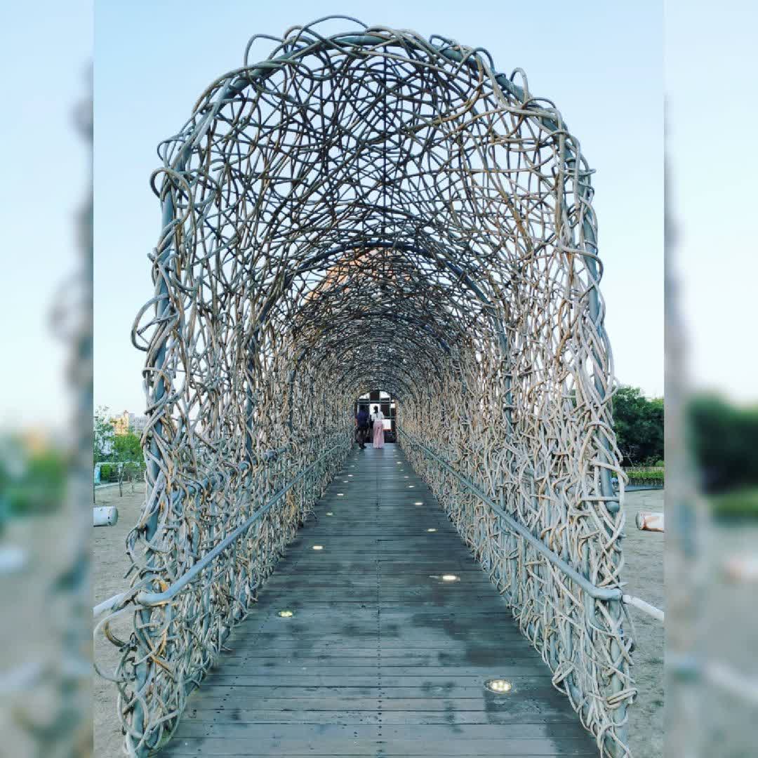 森林之歌 | 去趣 chicTrip