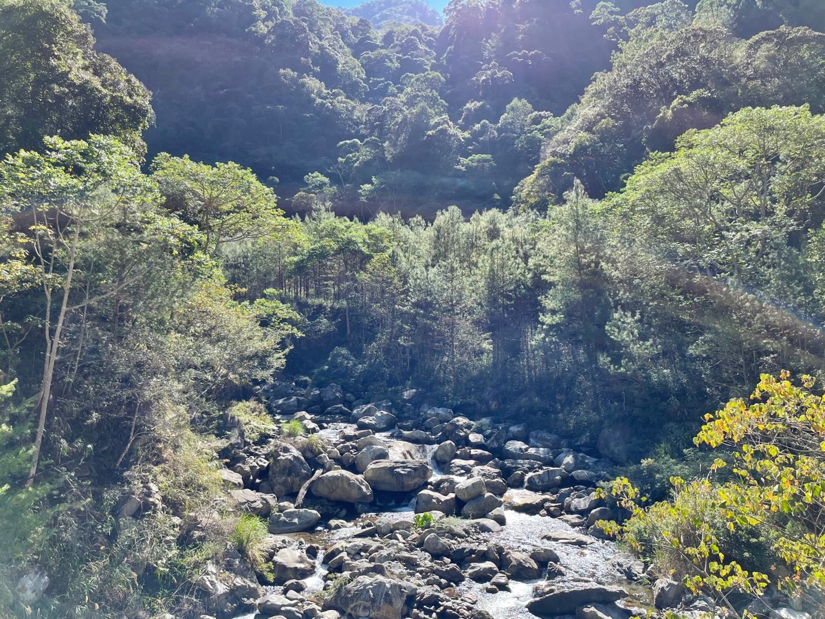 八仙山國家森林遊樂區 | 去趣 chicTrip