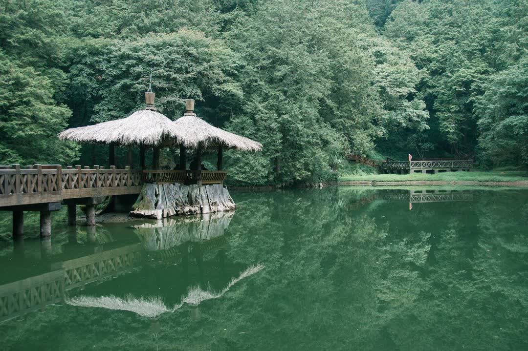 阿里山國家森林遊樂區 | 去趣 chicTrip