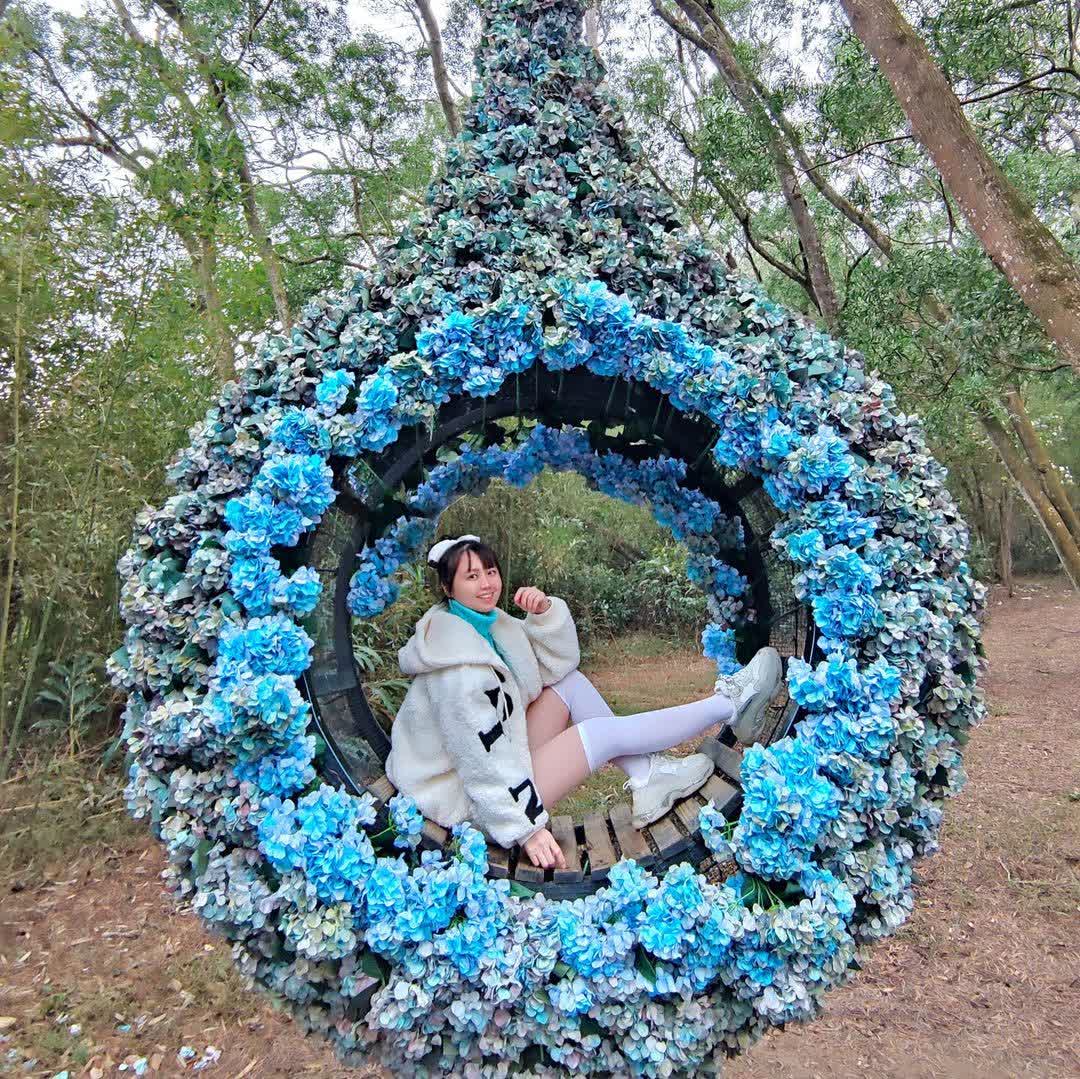 格林奇幻森林 Green Fantasy Forest | 去趣 chicTrip