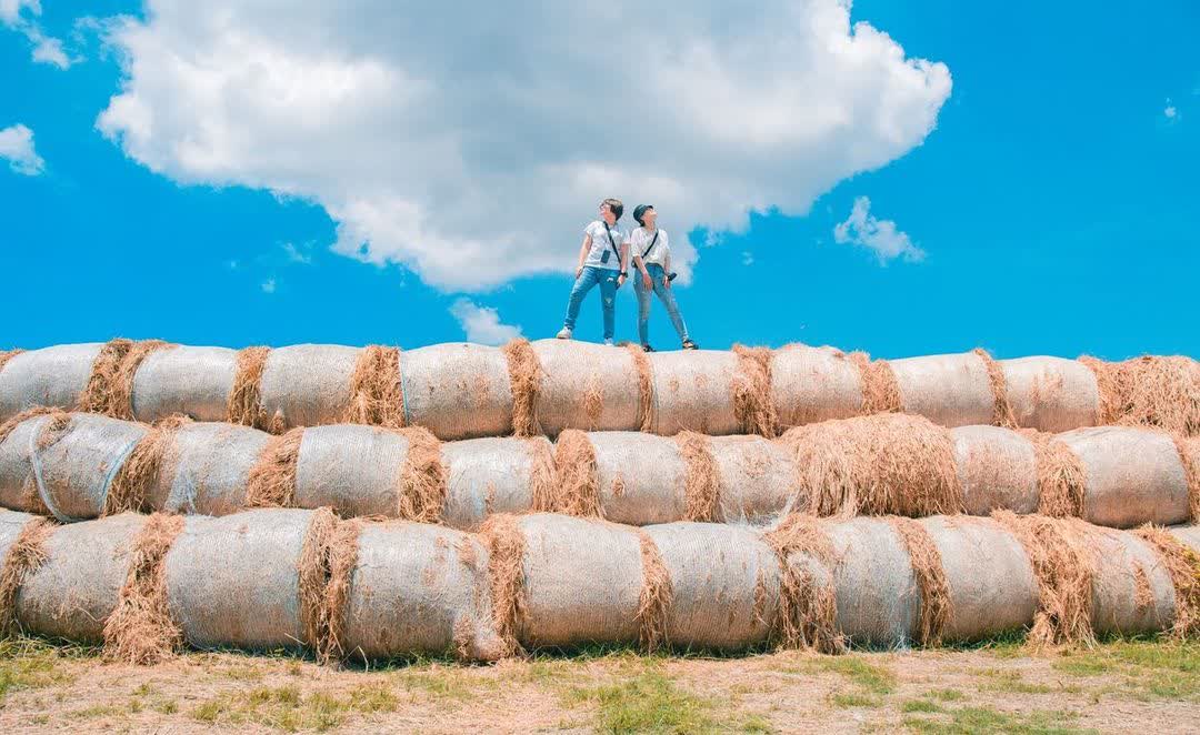 北港糖廠 | 去趣 chicTrip