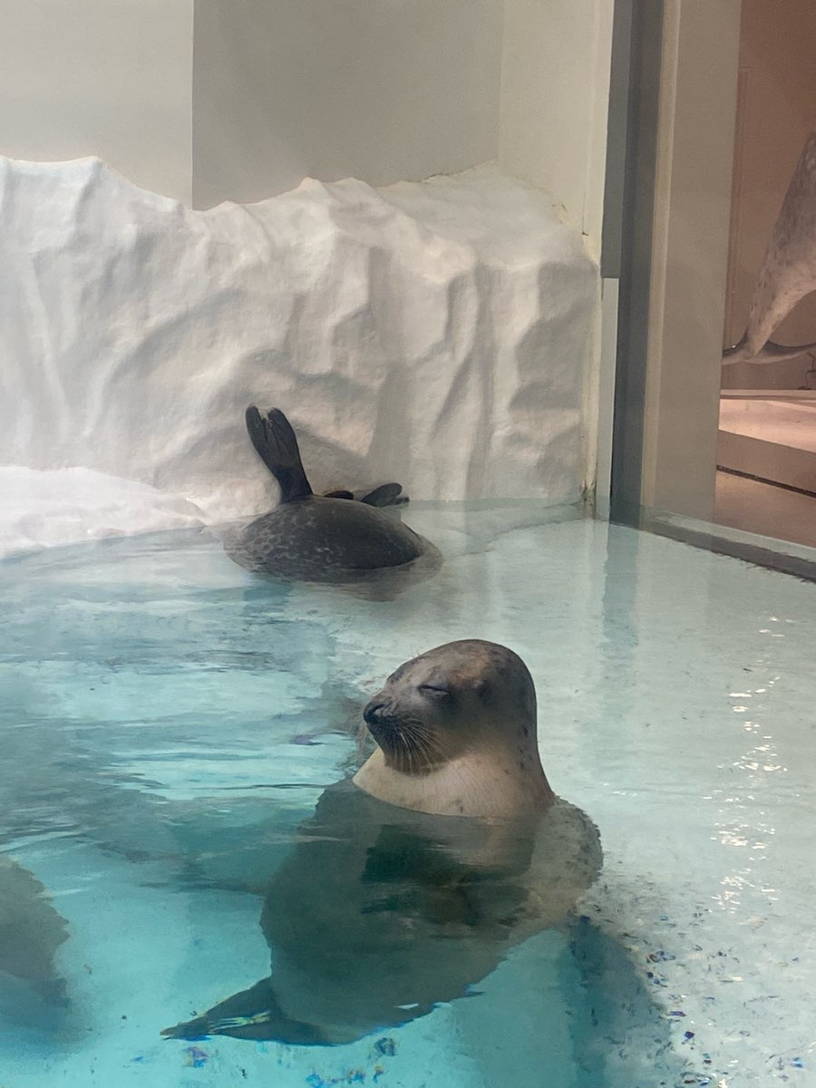 海遊館 | 去趣 chicTrip