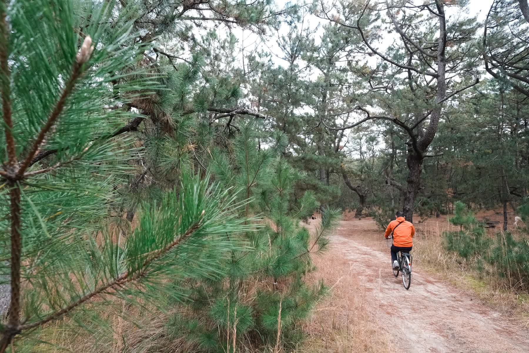 虹之松原 | 去趣 chicTrip