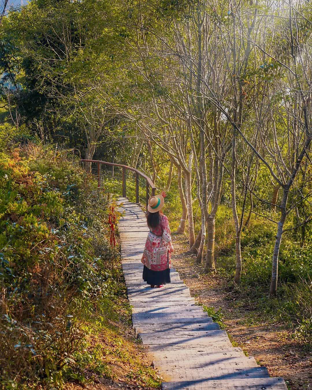 嘉義梅山太平雲梯 | 去趣 chicTrip
