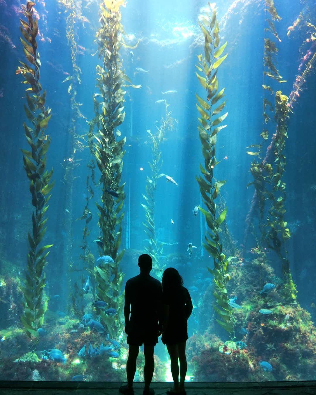 國立海洋生物博物館 | 去趣 chicTrip