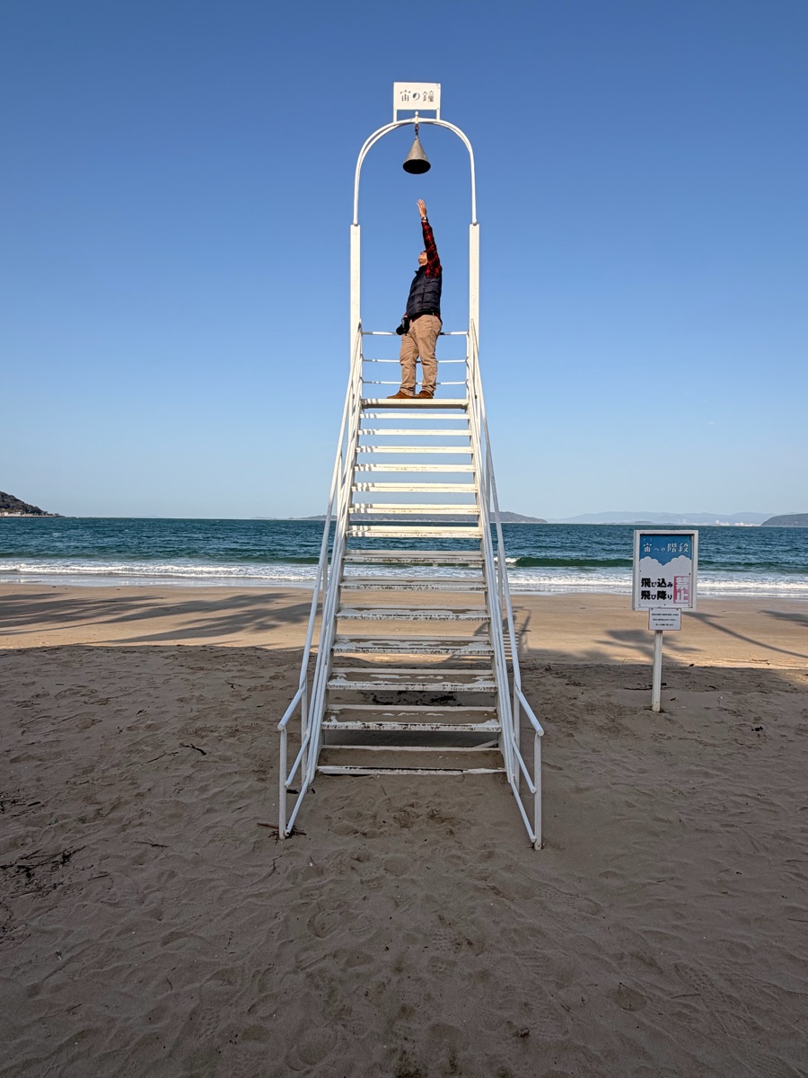 Palm Tree Swing | 去趣 chicTrip