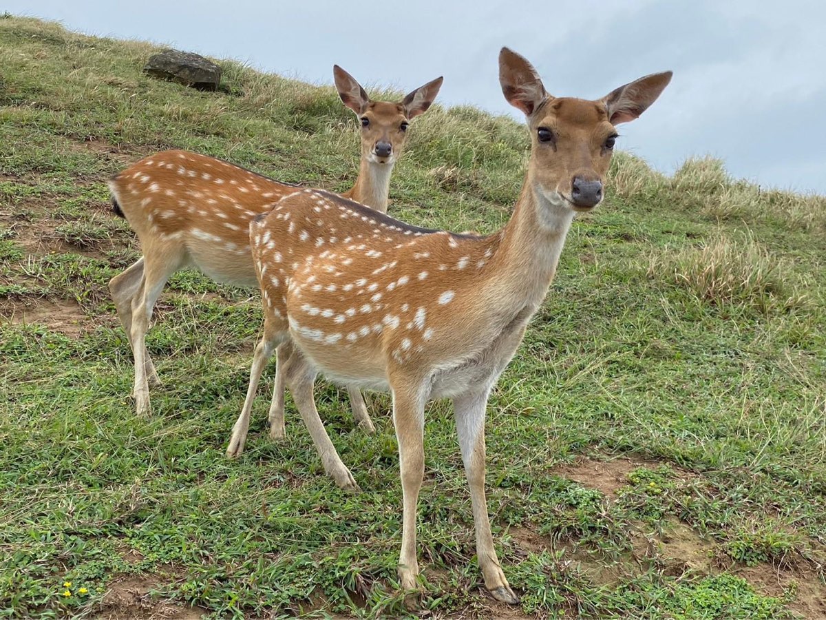 大坵島 | 去趣 chicTrip