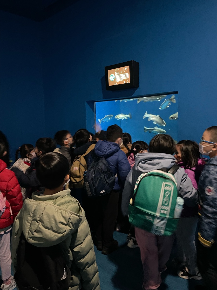 Xpark 水族館 | 去趣 chicTrip