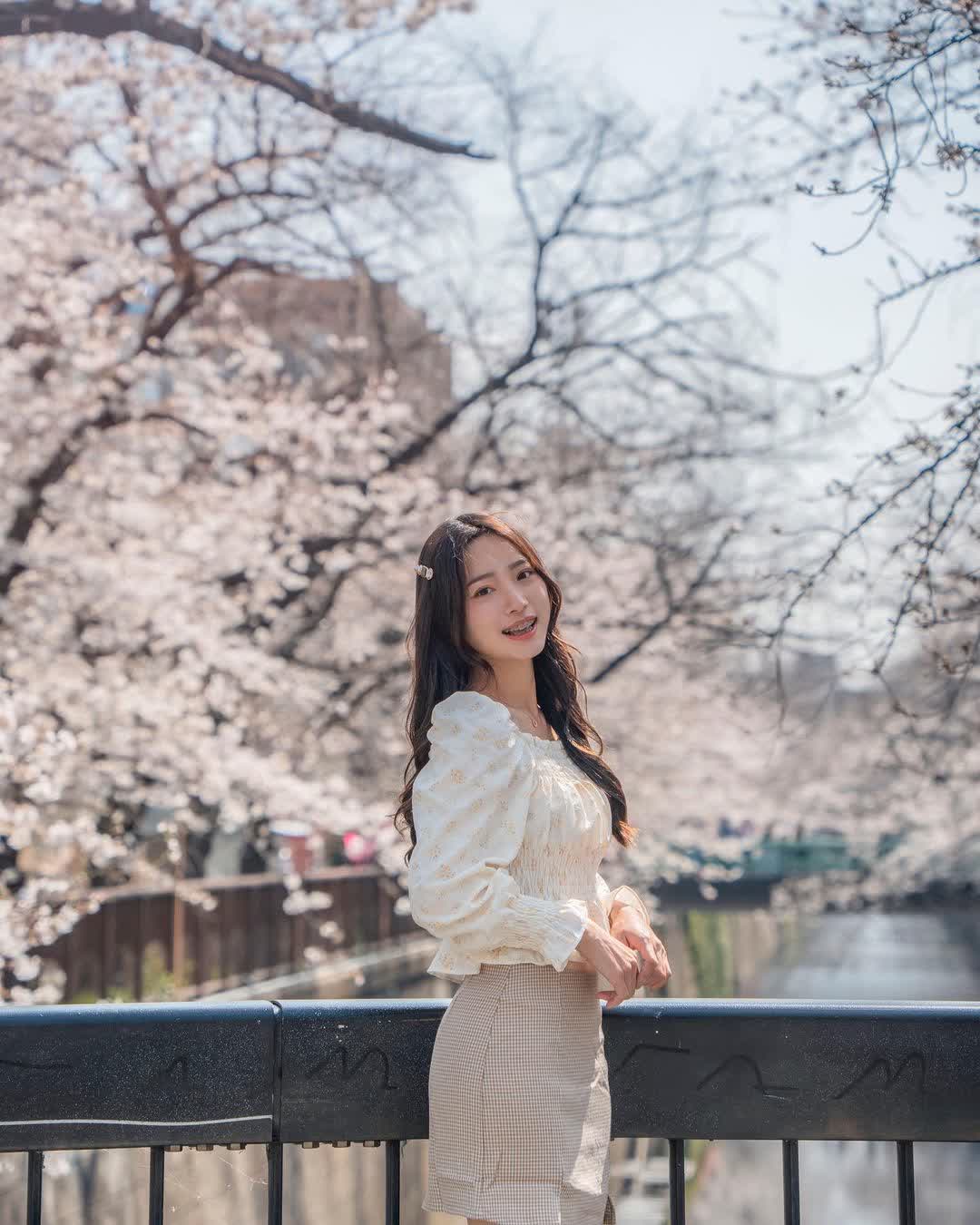 Sakura Bridge | 去趣 chicTrip