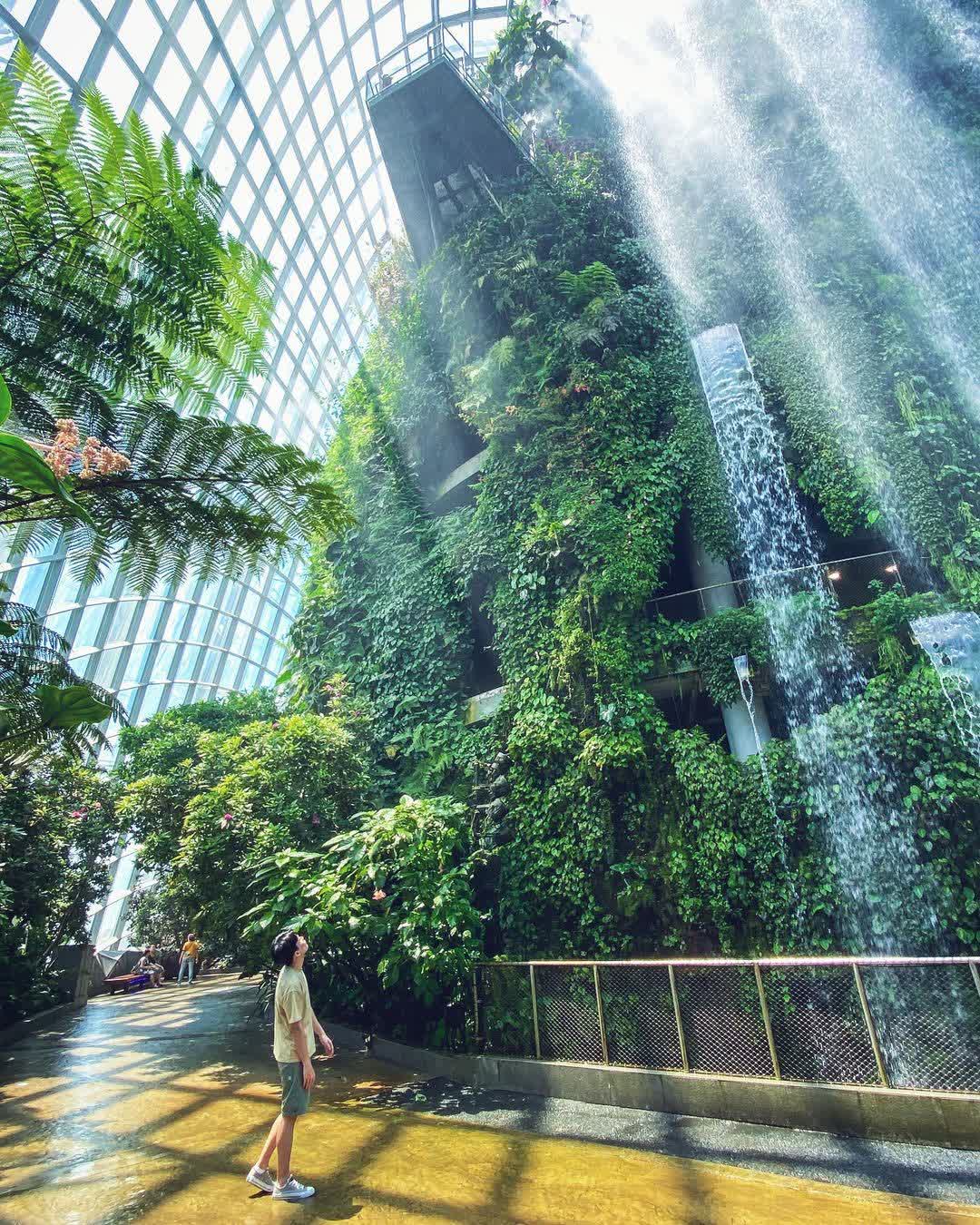 雲霧林 | 去趣 chicTrip