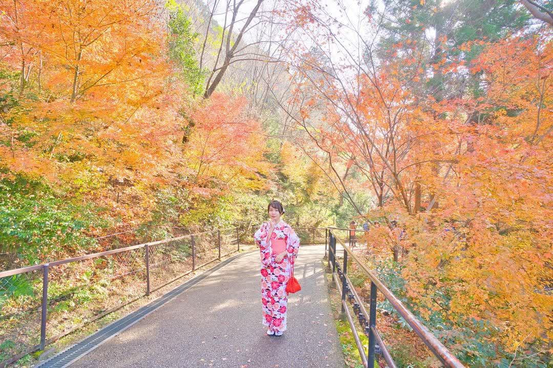 清水寺 | 去趣 chicTrip