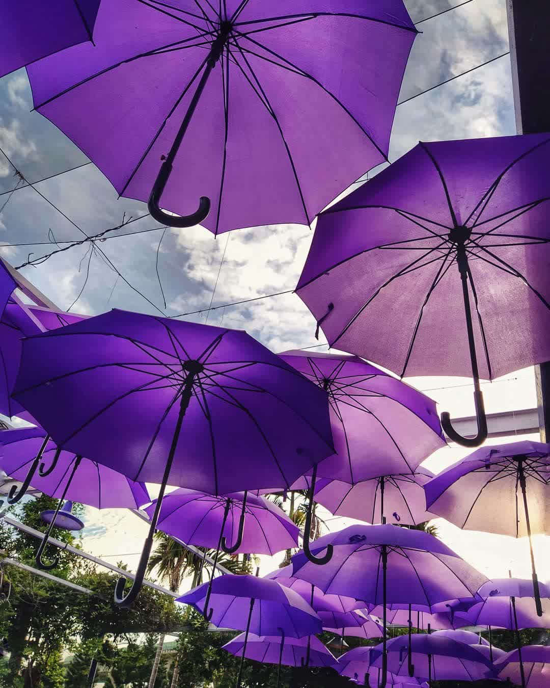 噢哈娜咖啡屋 | 去趣 chicTrip