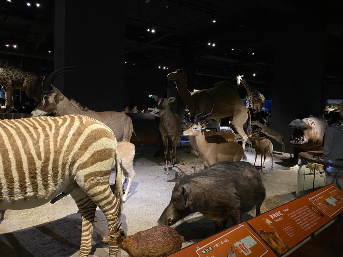 奇美博物館 | 去趣 chicTrip