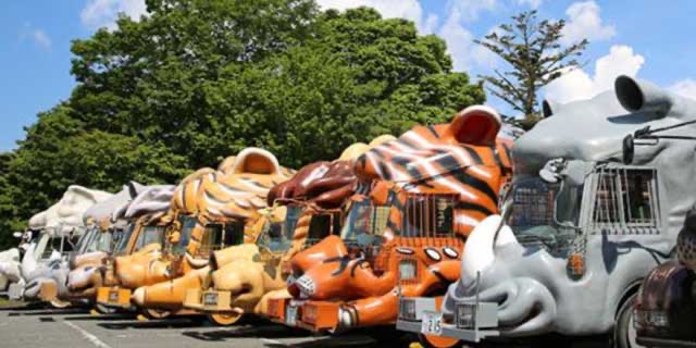 富士野生動物園 | 去趣 chicTrip