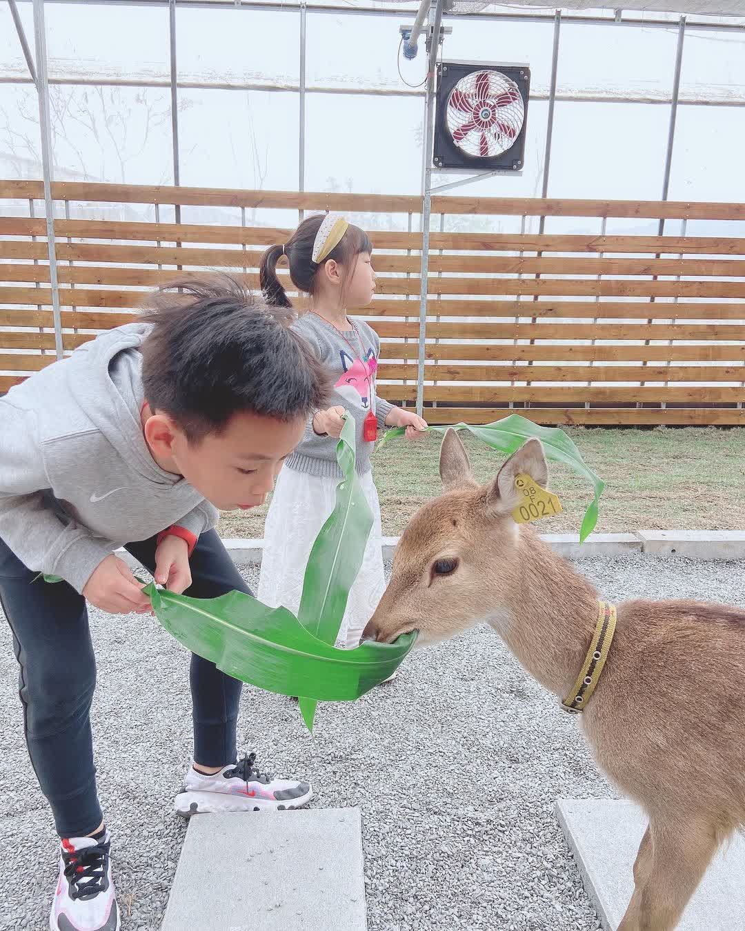 張美阿嬤農場（月森甯手作工坊） | 去趣 chicTrip