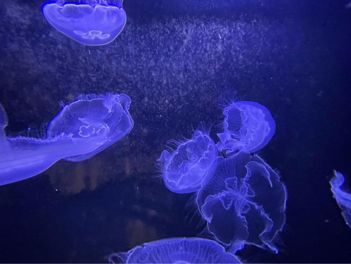 金車生技水產養殖研發中心 | 去趣 chicTrip