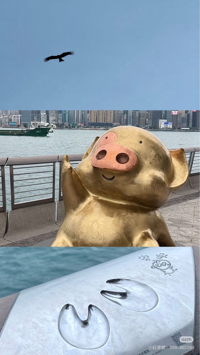 星光大道 | 去趣 chicTrip