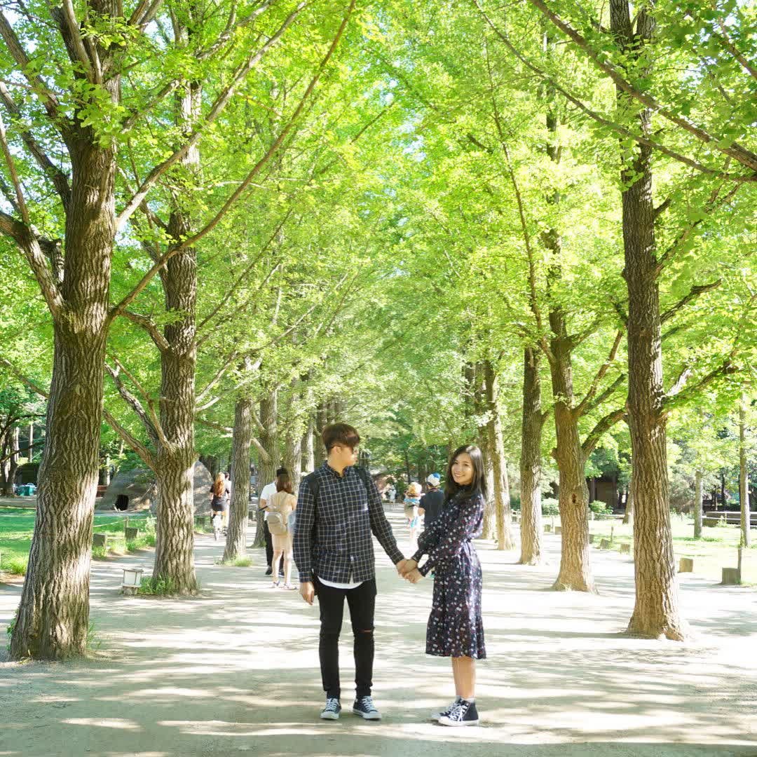 南怡島남이섬 | 去趣 chicTrip