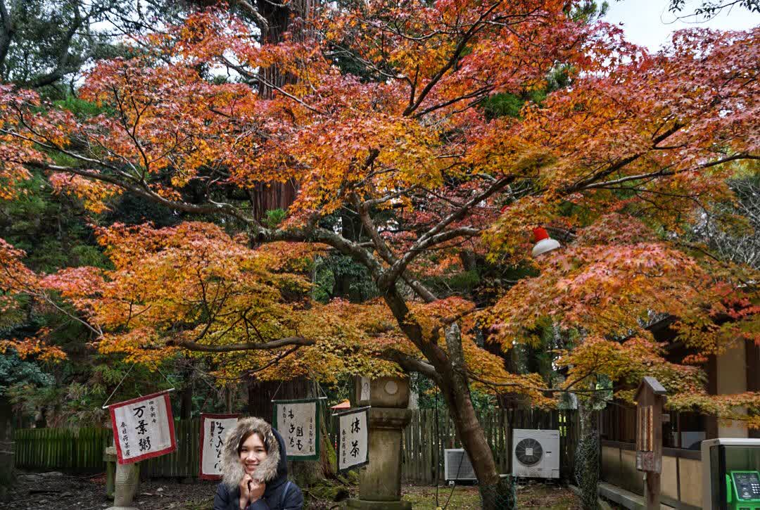 Tōdai-ji 東大寺 | 去趣 chicTrip