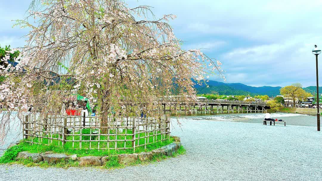 渡月橋 | 去趣 chicTrip