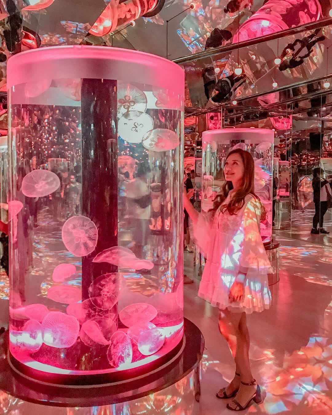 Xpark 水族館 | 去趣 chicTrip