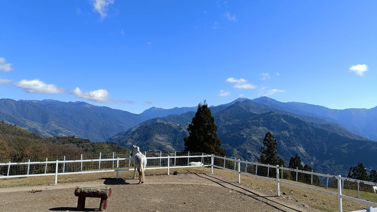 清境農場觀山牧區 | 去趣 chicTrip