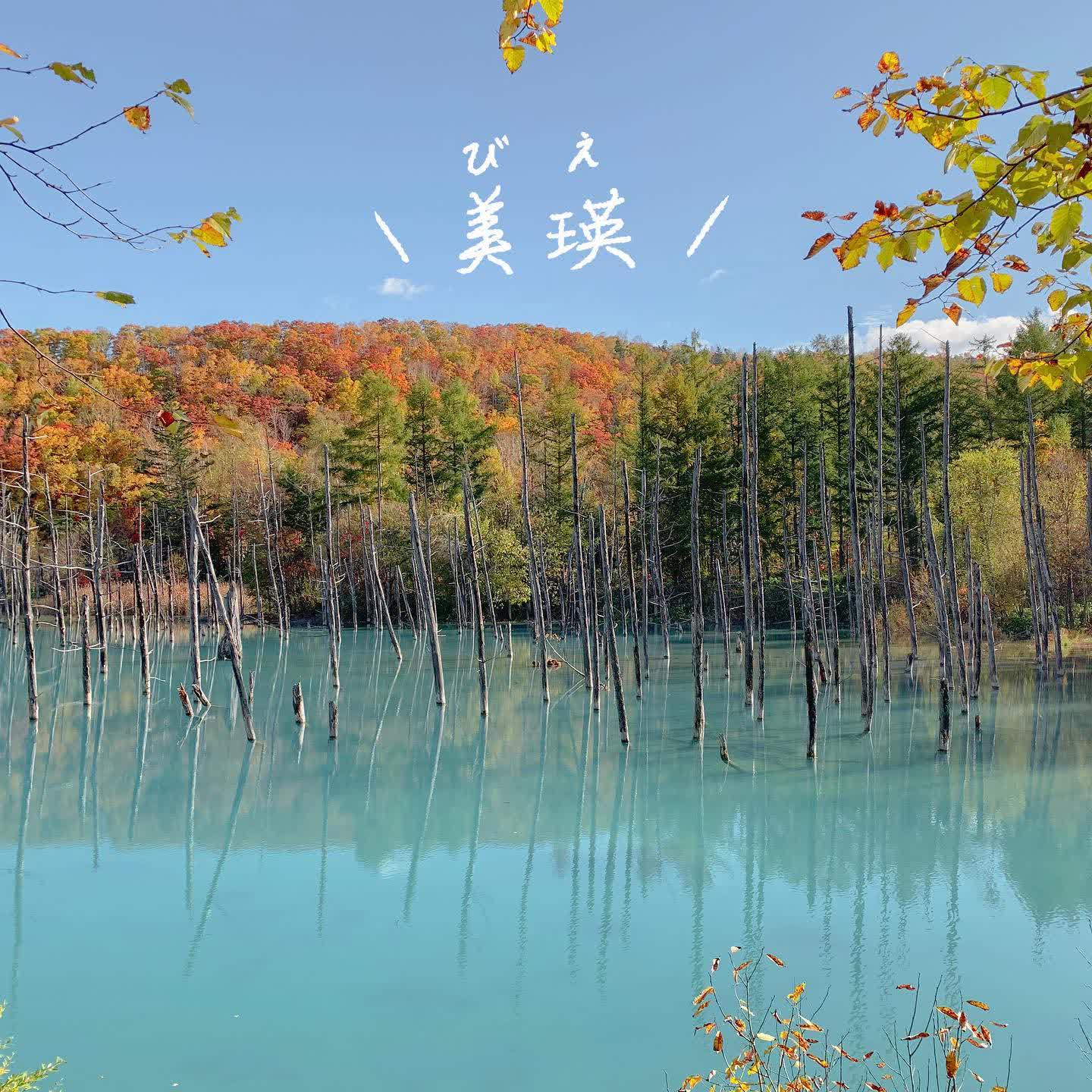 白金青池 | 去趣 chicTrip