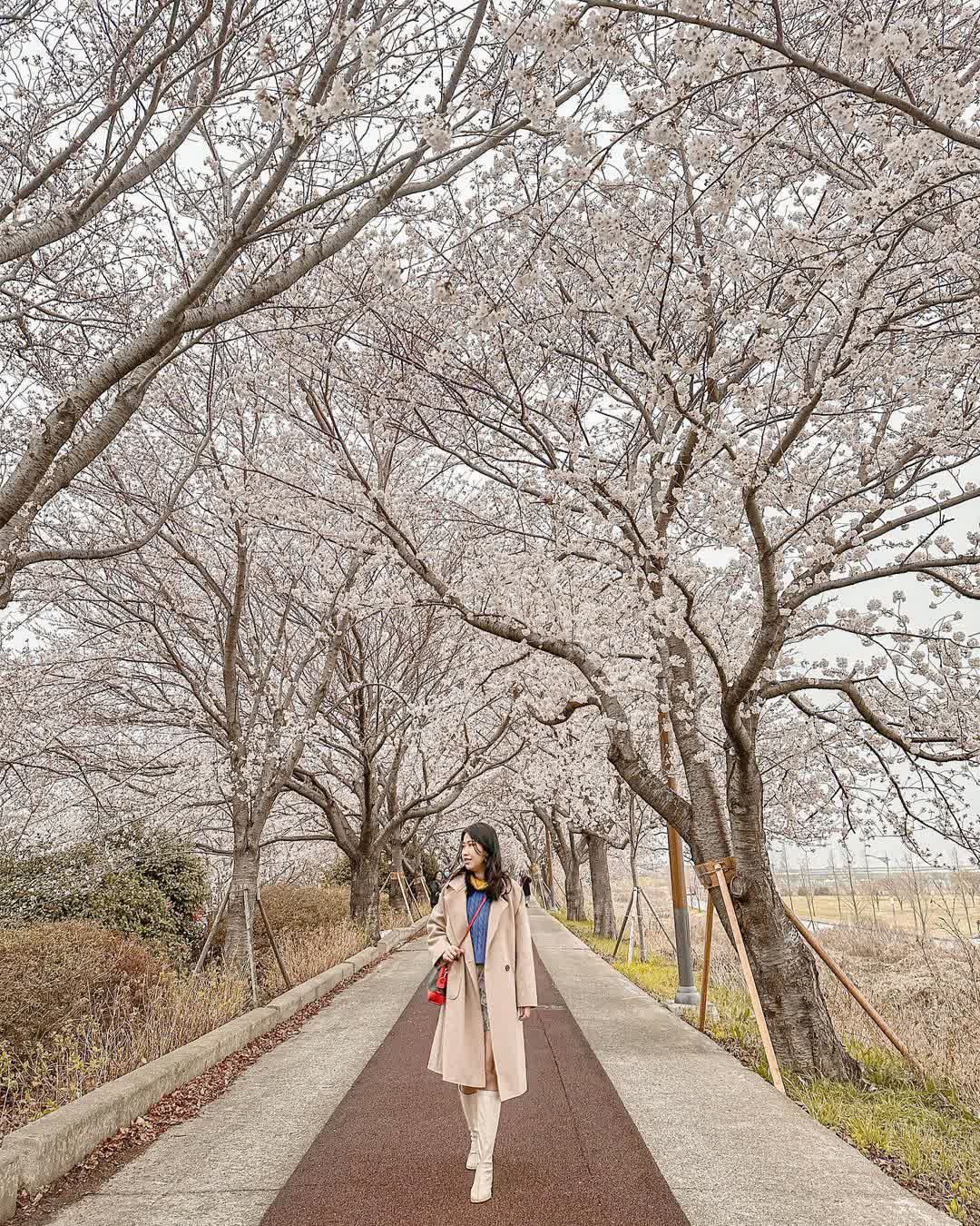 三樂江邊公園 | 去趣 chicTrip