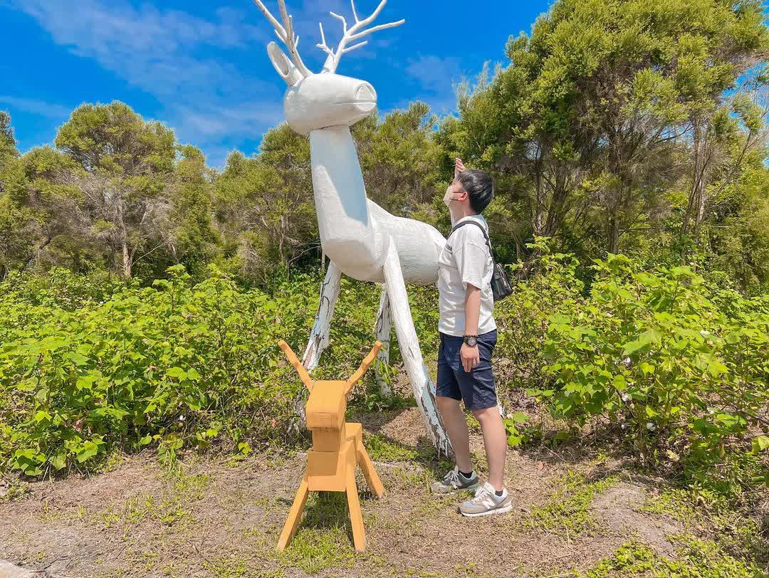 南投縣日月潭頭社活盆地休閒農業區促進會