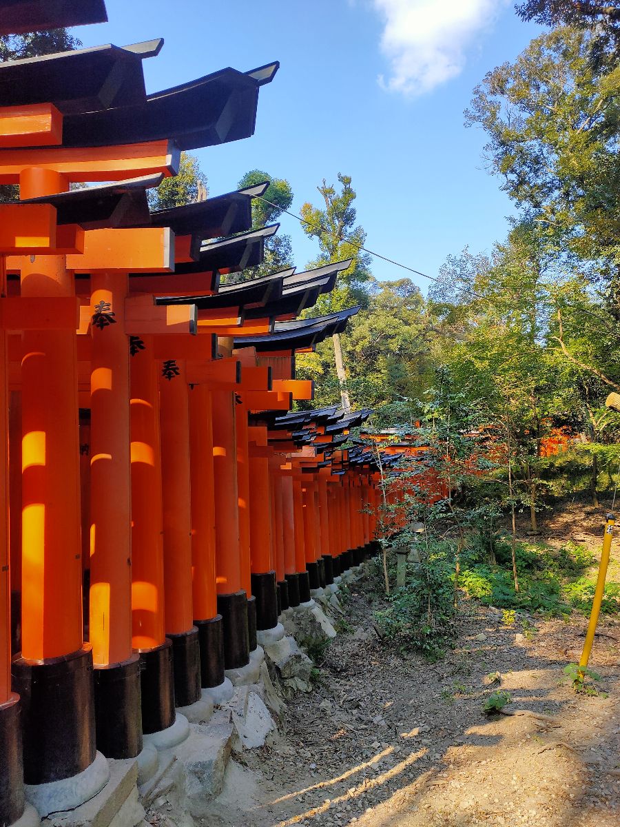 伏見稻荷大社 | 去趣 chicTrip