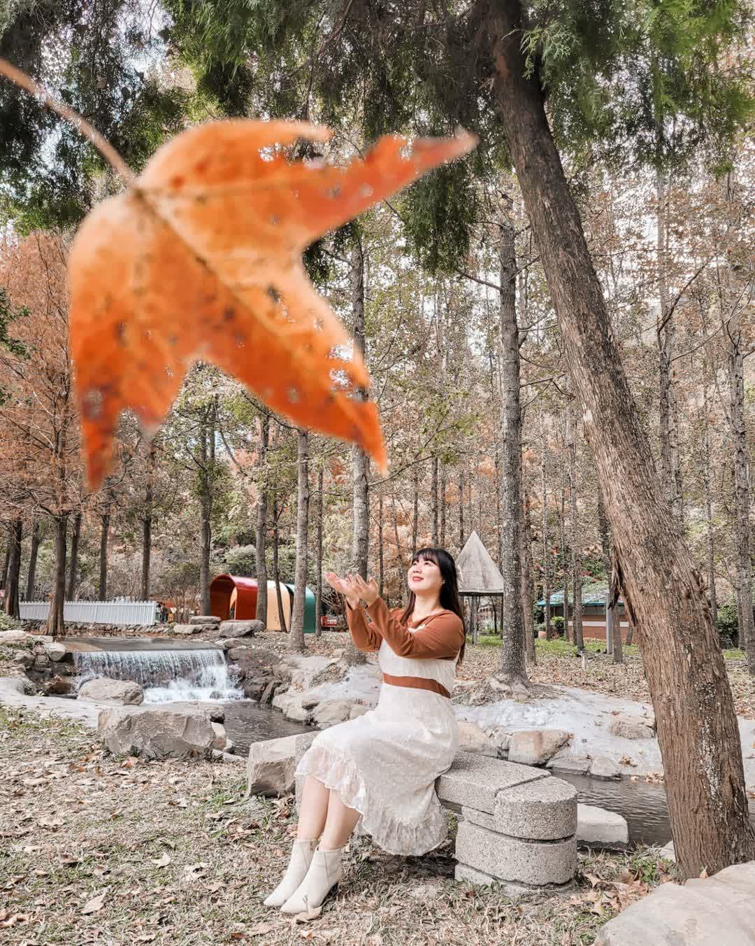 台一生態休閒農場(楓樺台一渡假村) | 去趣 chicTrip