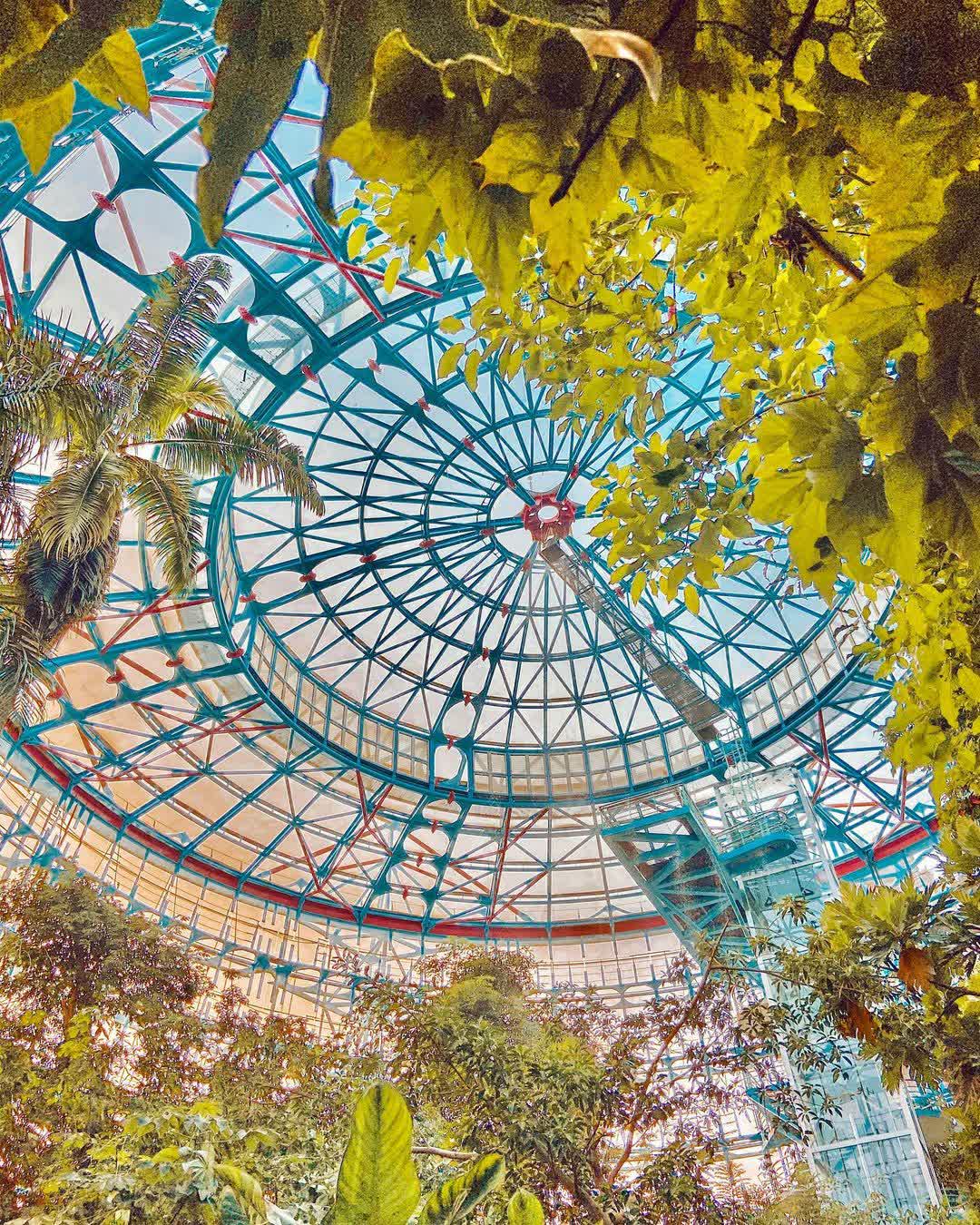 國立自然科學博物館 | 去趣 chicTrip