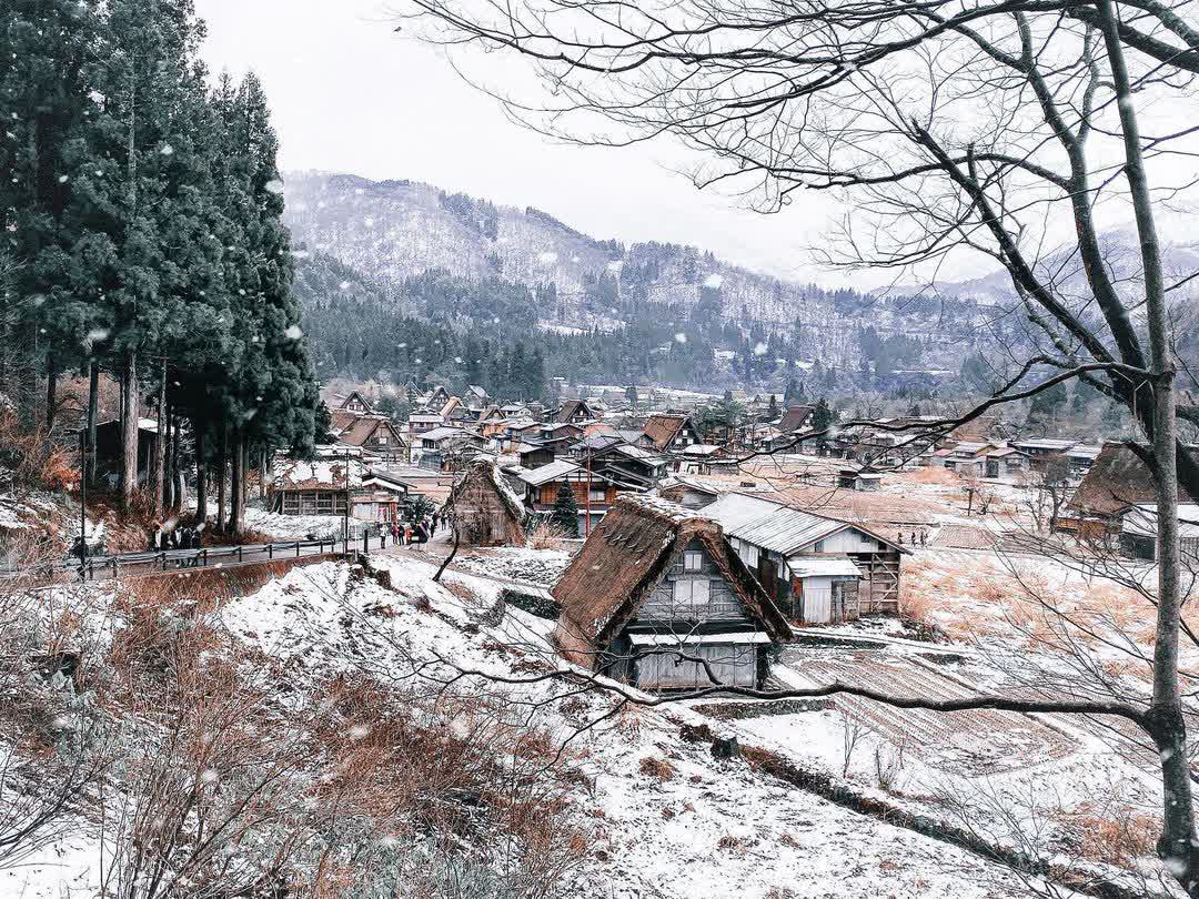白川鄉合掌造聚落 | 去趣 chicTrip