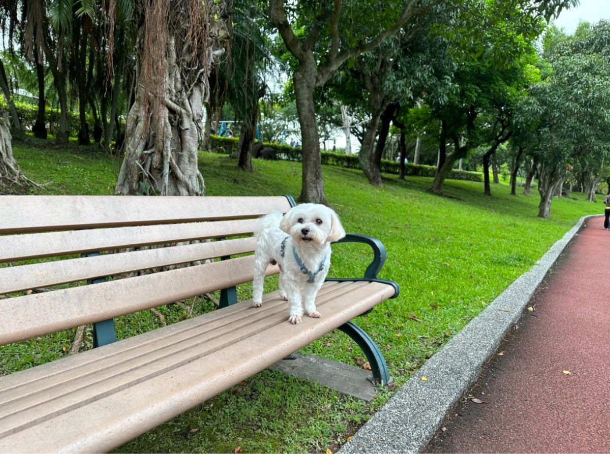 南港公園 | 去趣 chicTrip