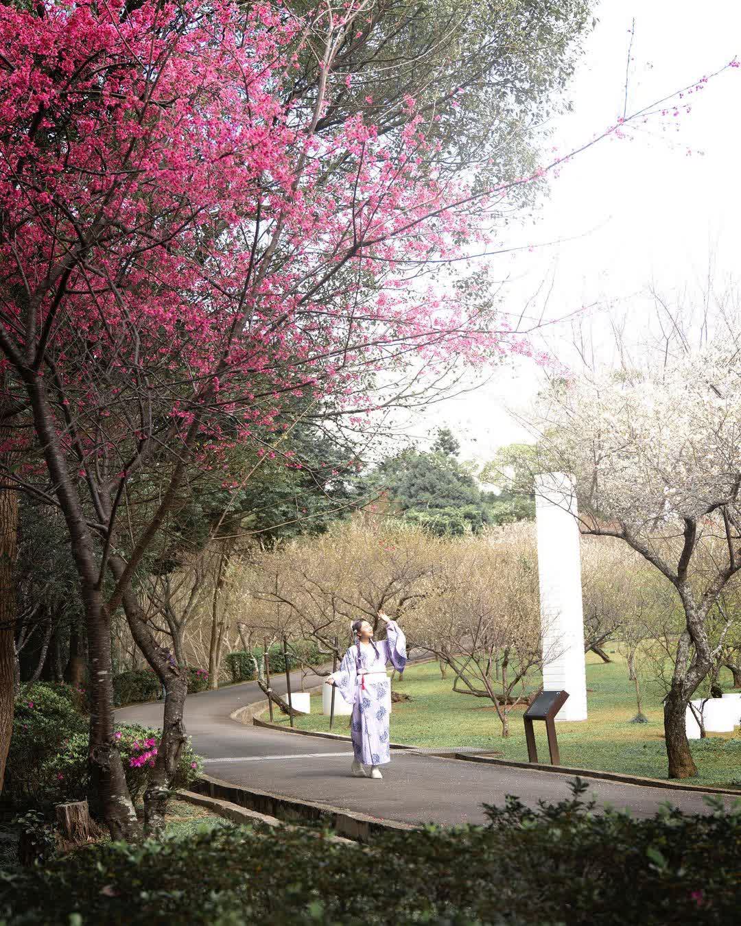 角板山行館 | 去趣 chicTrip