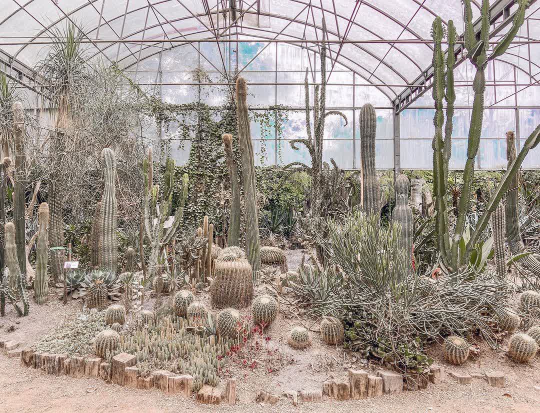 綠世界生態農場 | 去趣 chicTrip