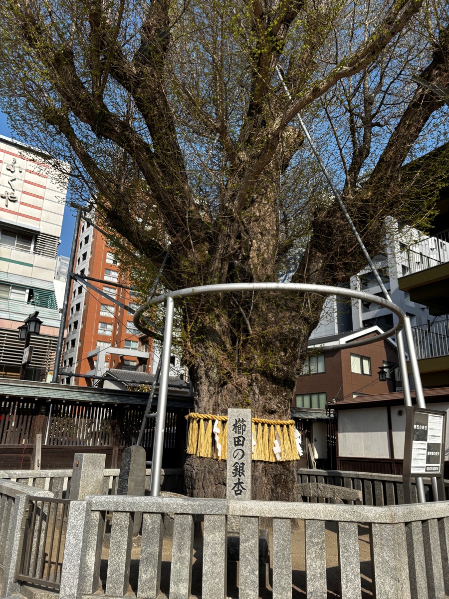 櫛田神社 | 去趣 chicTrip