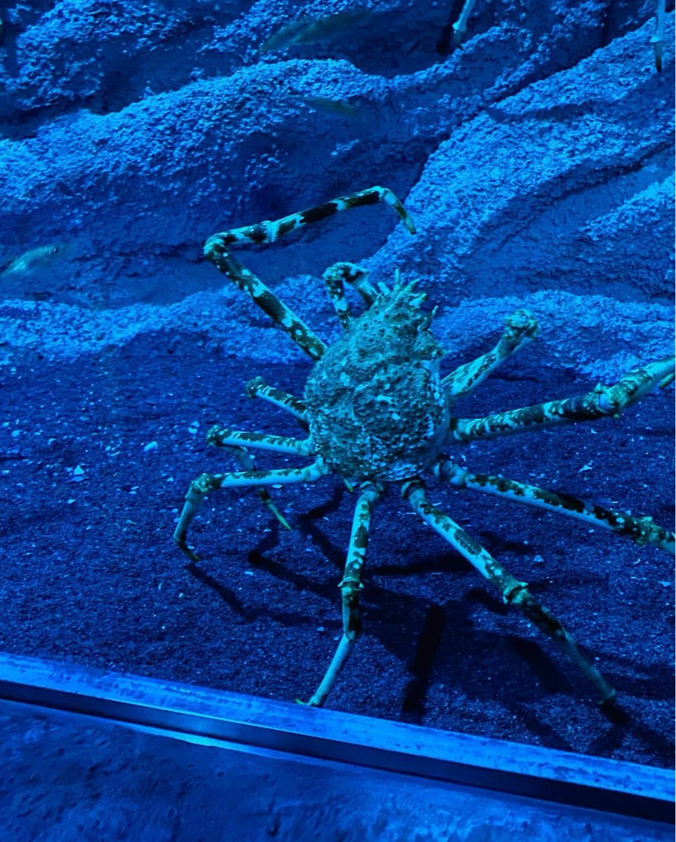 國立海洋生物博物館 | 去趣 chicTrip