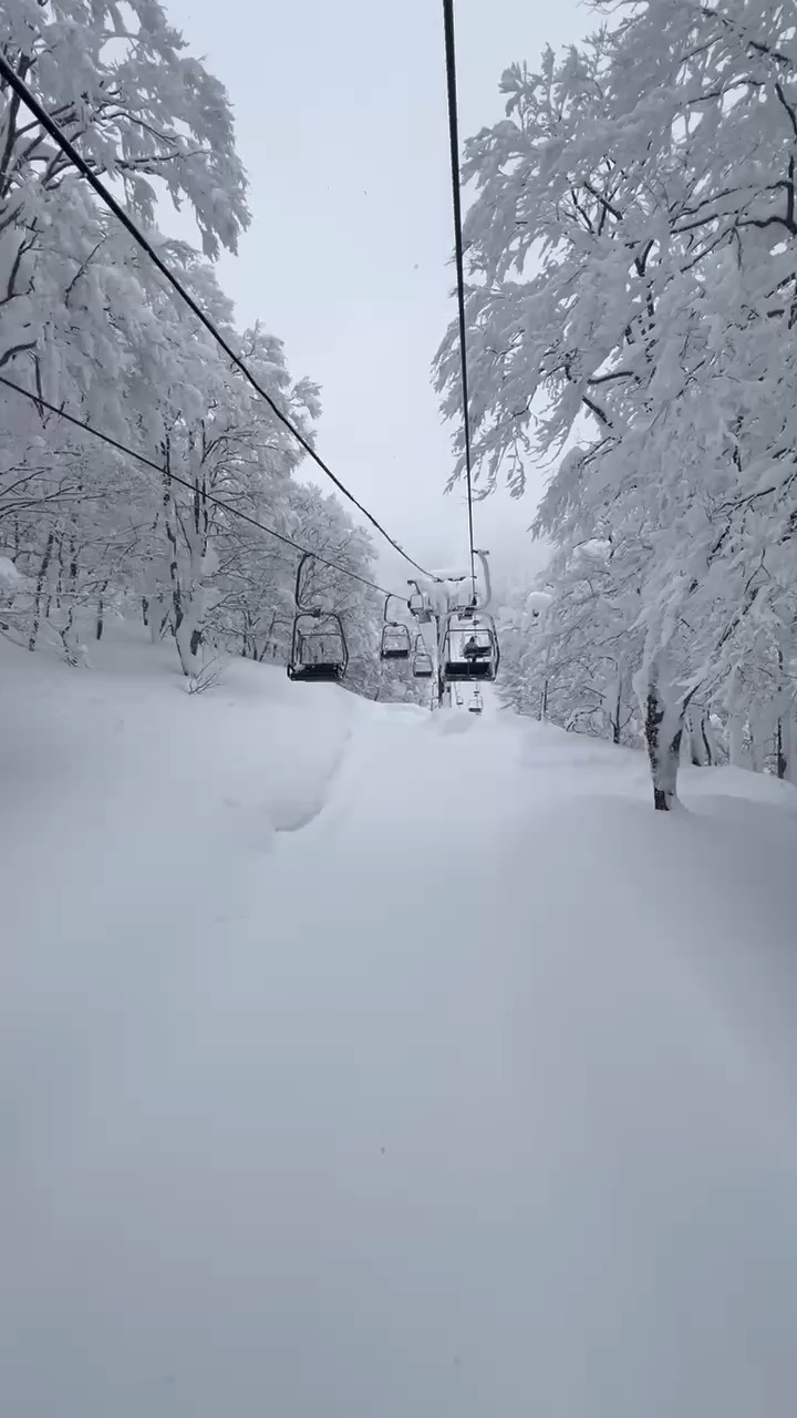 森吉山阿仁滑雪場 | 去趣 chicTrip