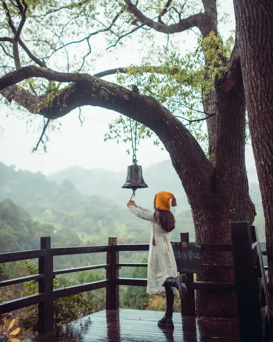 薰衣草森林台中新社店