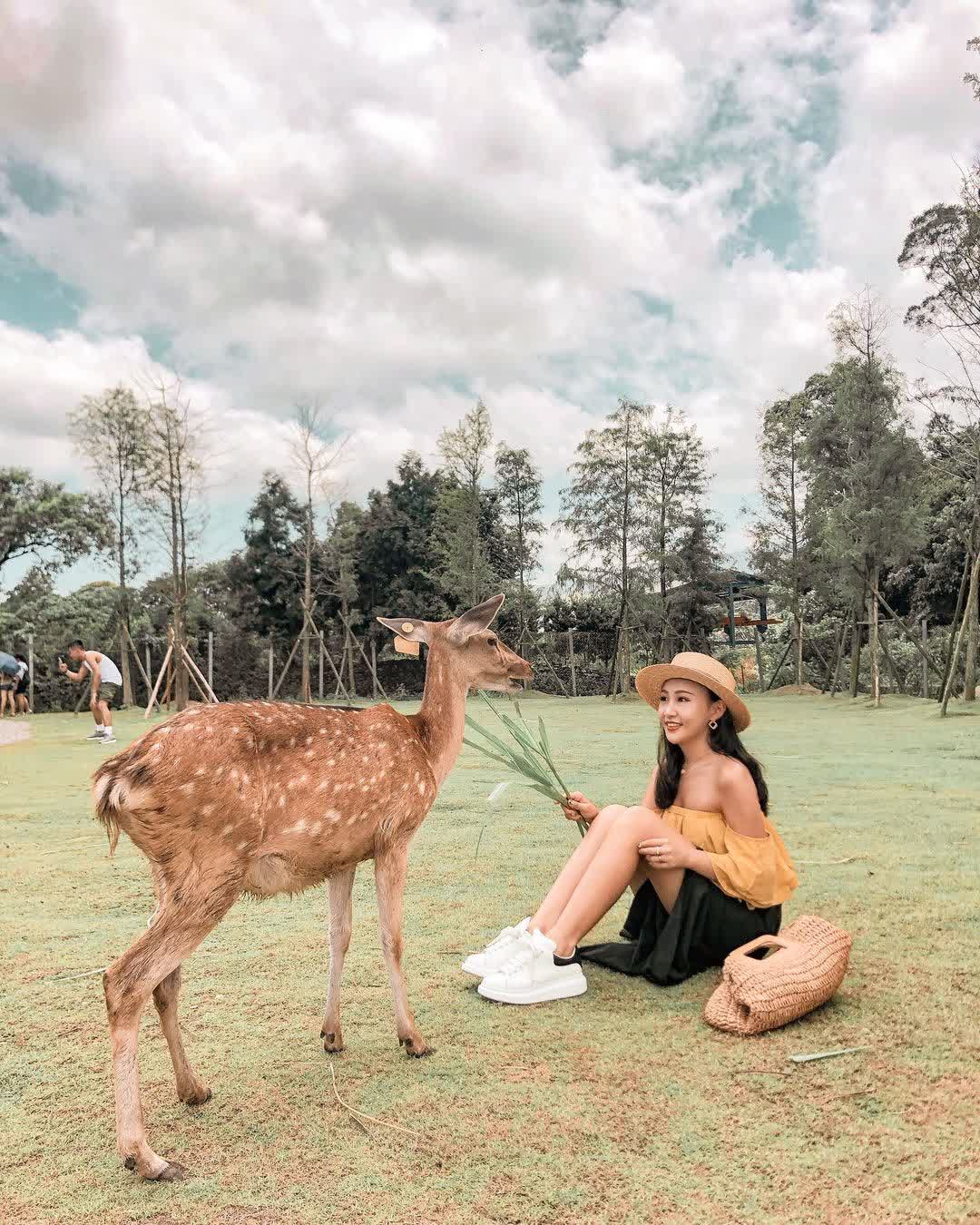 宜蘭-斑比山丘 | 去趣 chicTrip