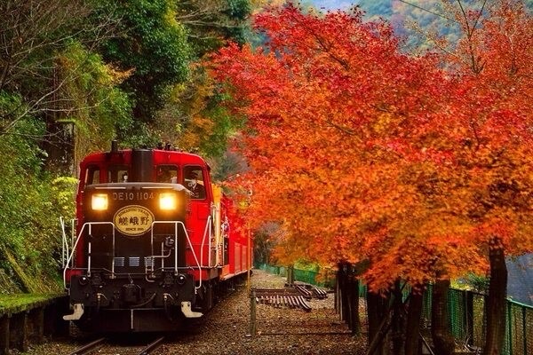 遊覽小火車嵐山 | 去趣 chicTrip