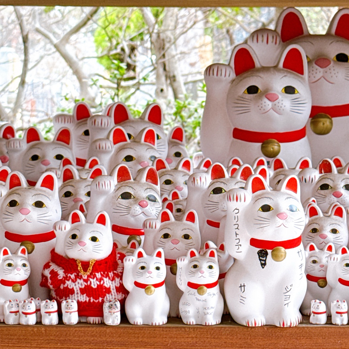 世田谷 豪德寺 | 去趣 chicTrip