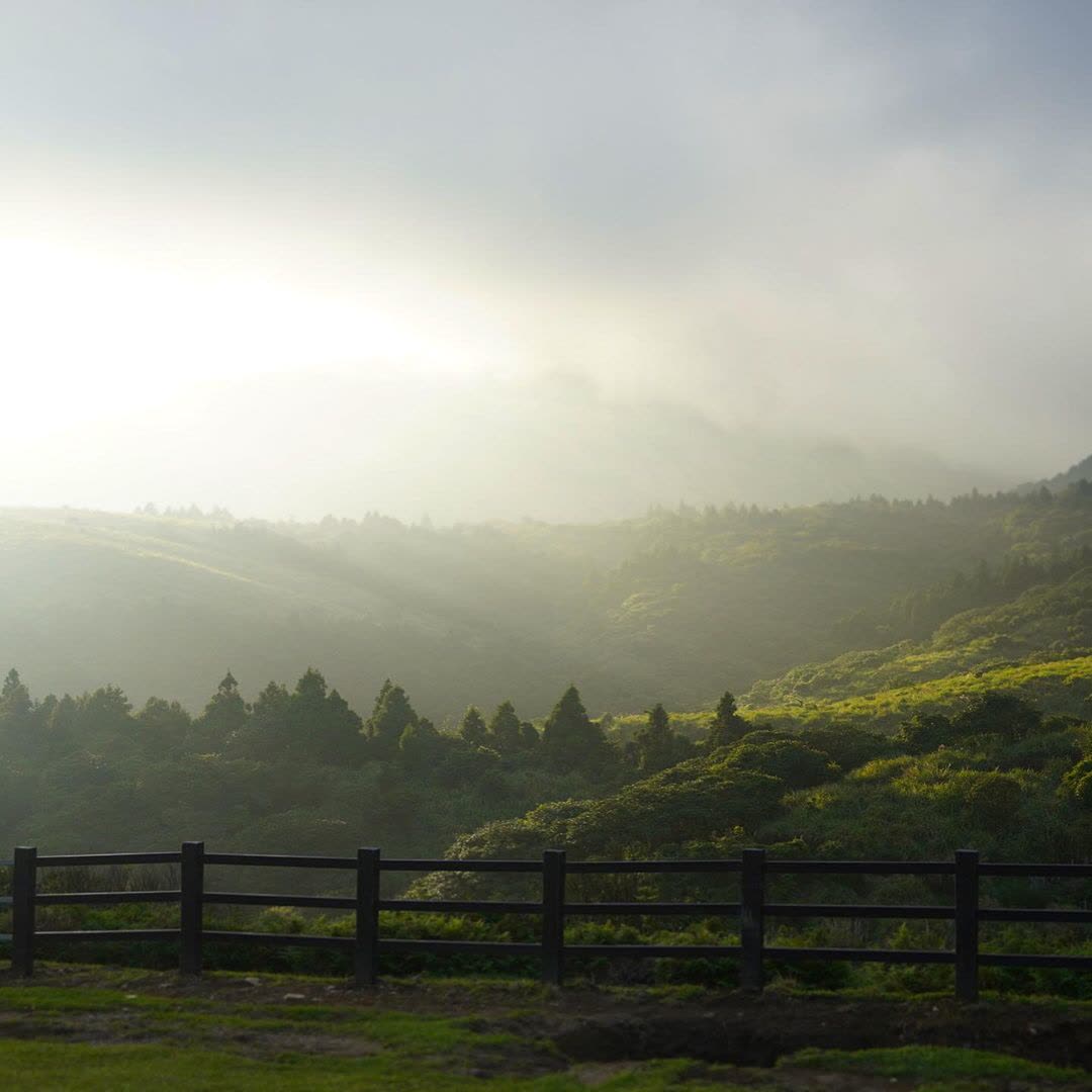 擎天崗 | 去趣 chicTrip