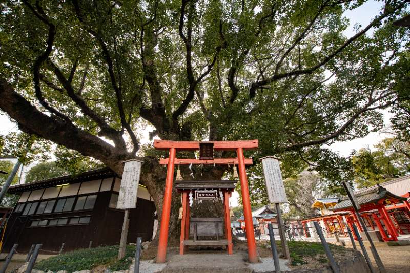 佐嘉神社 | 去趣 chicTrip