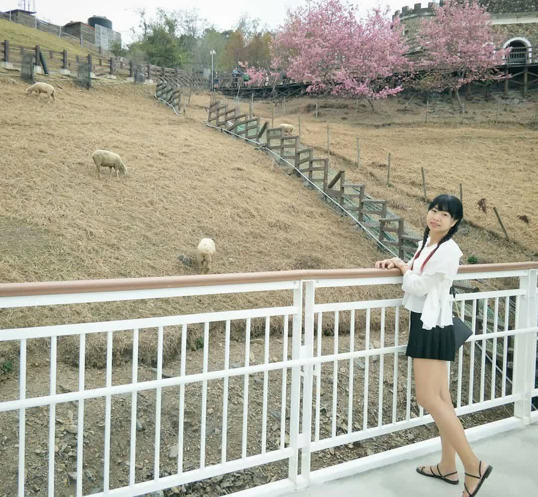 清境高空觀景步道 | 去趣 chicTrip