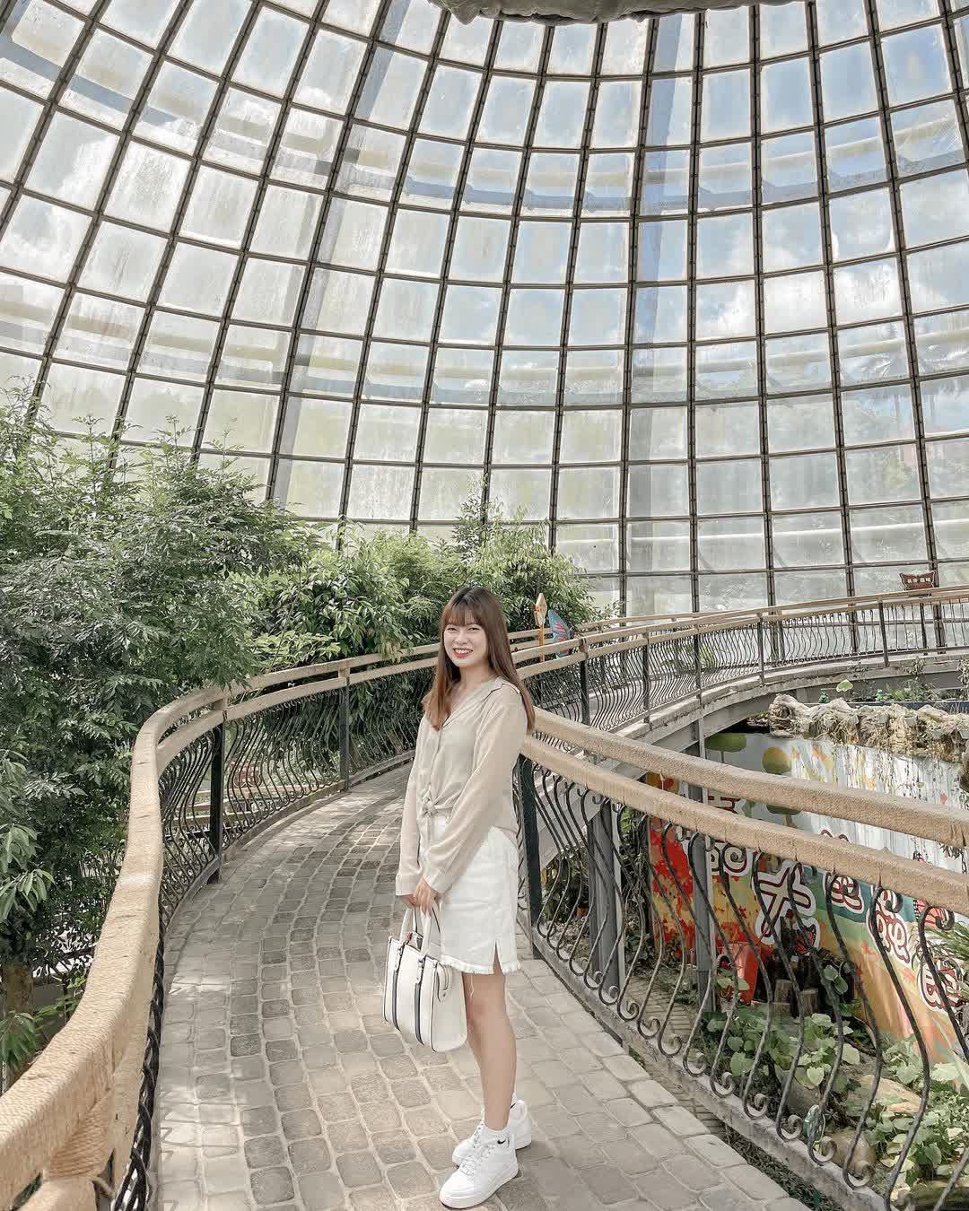 嘉大昆蟲館 | 去趣 chicTrip